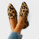 Leopardo